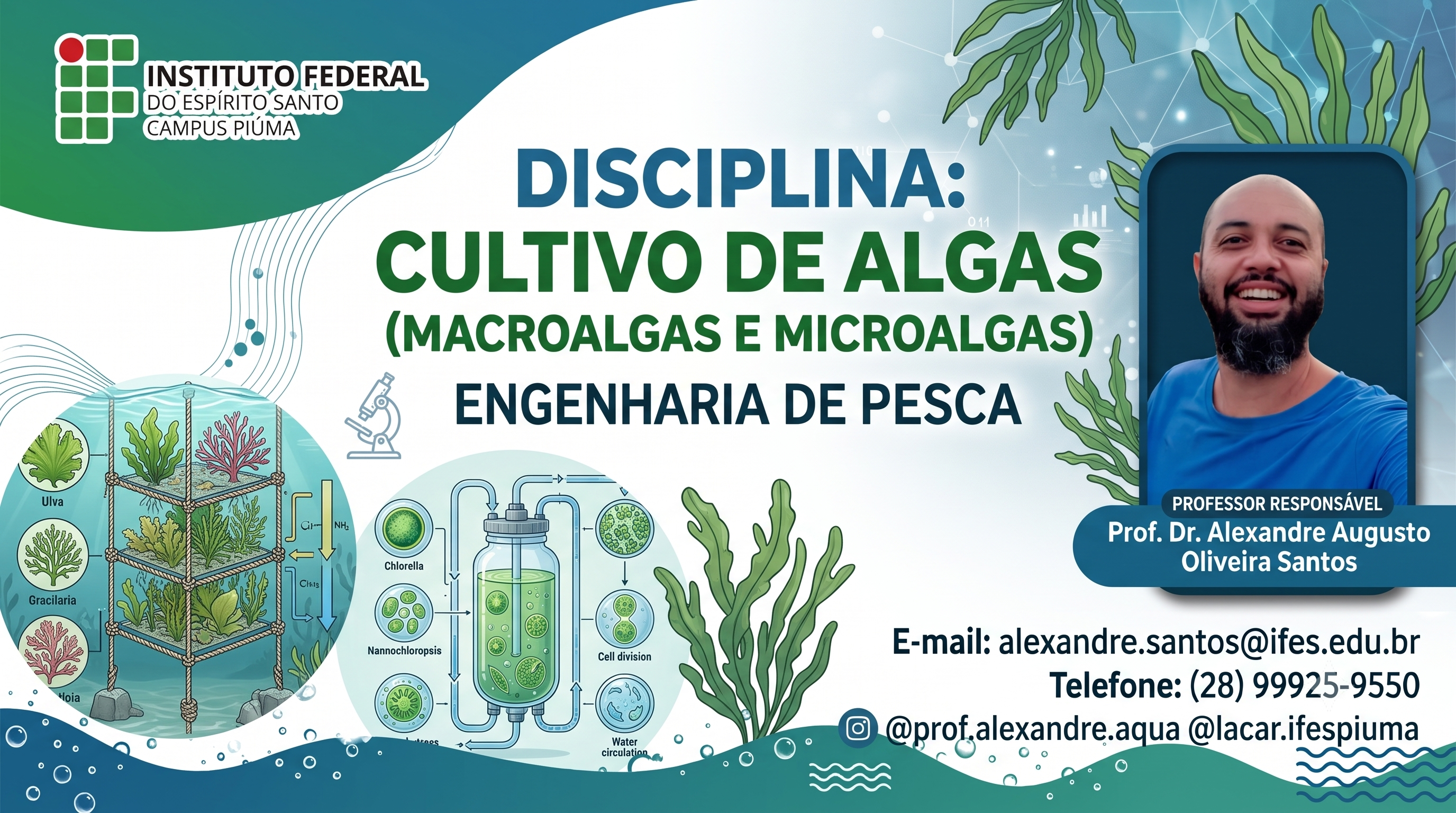 Cultivo de algas 